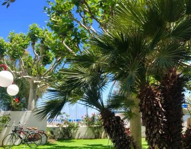 hotelpalmarosa en super-promotion-in-july-at-seaside-hotel-in-roseto-degli-abruzzi-with-beach 014